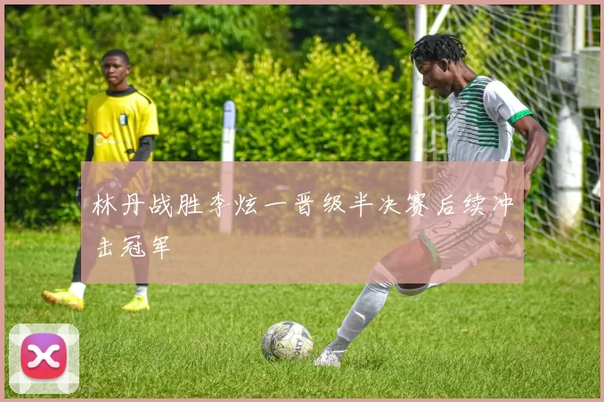 林丹战胜李炫一晋级半决赛后续冲击冠军