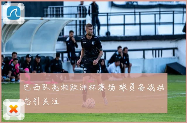 巴西队亮相欧洲杯赛场 球员备战动态引关注