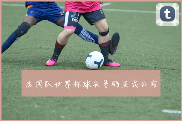 法国队世界杯球衣号码正式公布